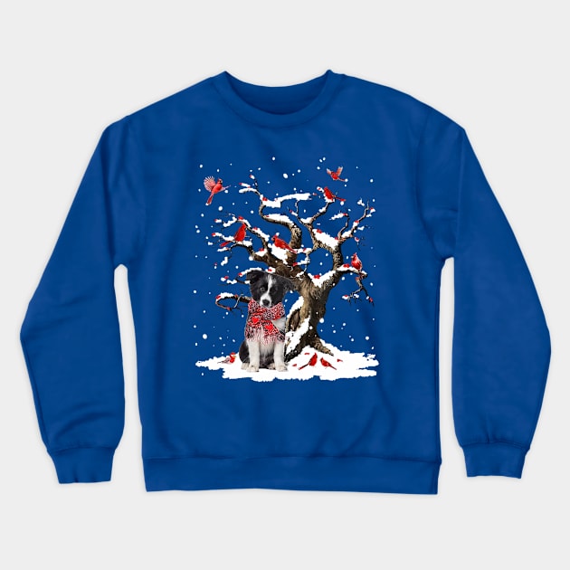 Border Collie Scarf Cardinal Snow Christmas Crewneck Sweatshirt by sueannharley12